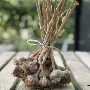 Atalık Tohumdan Mor Sarımsak 1 KG