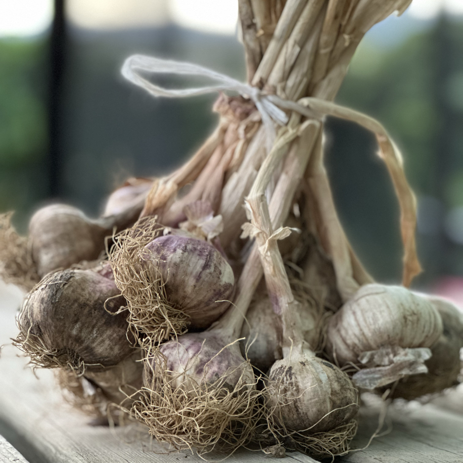 Atalık Tohumdan Mor Sarımsak 1 KG - Görsel 2