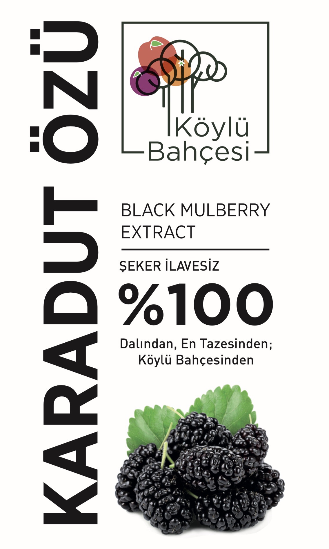 3 Lü Paket Karadut Özü Şeker İlavesiz - Görsel 2