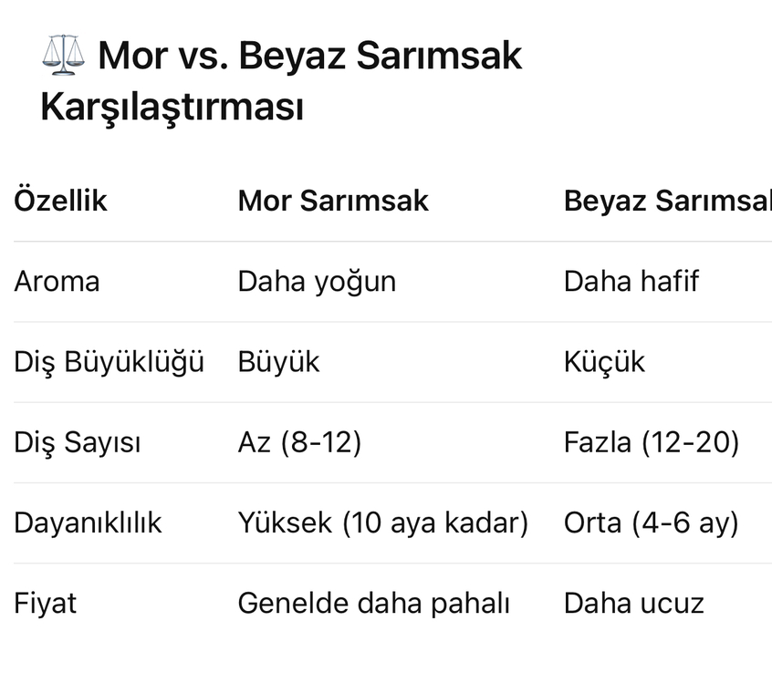 Ata Tohumundan Mor Sarımsak - Görsel 3